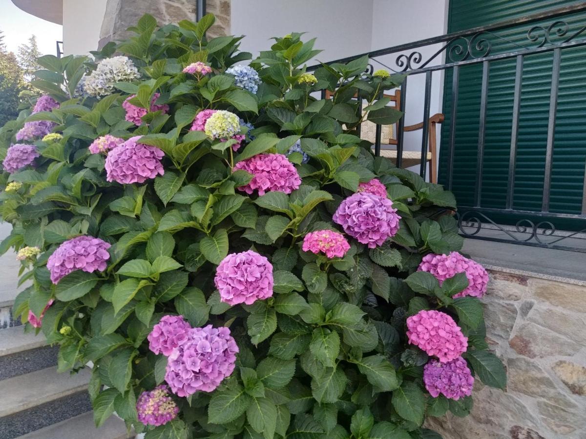 Mito'S House & Douro View Bed and Breakfast Peso da Régua Εξωτερικό φωτογραφία